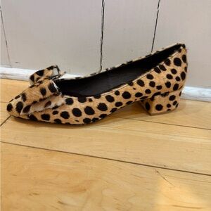 Jeffrey Campbell Leopard Print Women's Shoes